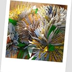 Crizanteme din carton de pliante